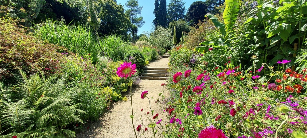 National Botanic Gardens near Dalkey Castle